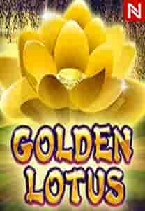 Golden Lotus